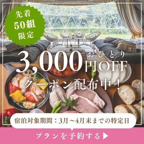 特別キャンペーン