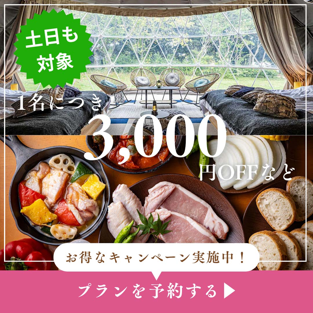 特別キャンペーン