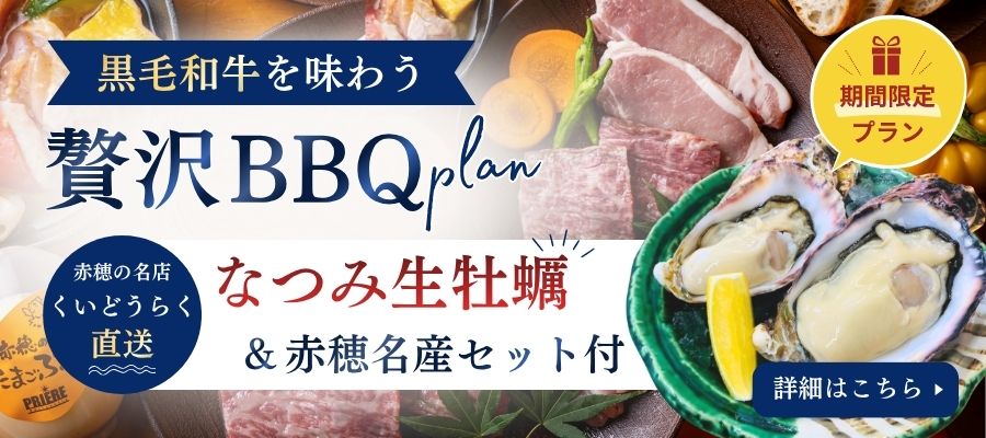 SUMMER LIMITED PLAN